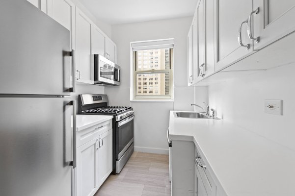 Luxury Renovated Kitchen Stainless Steel