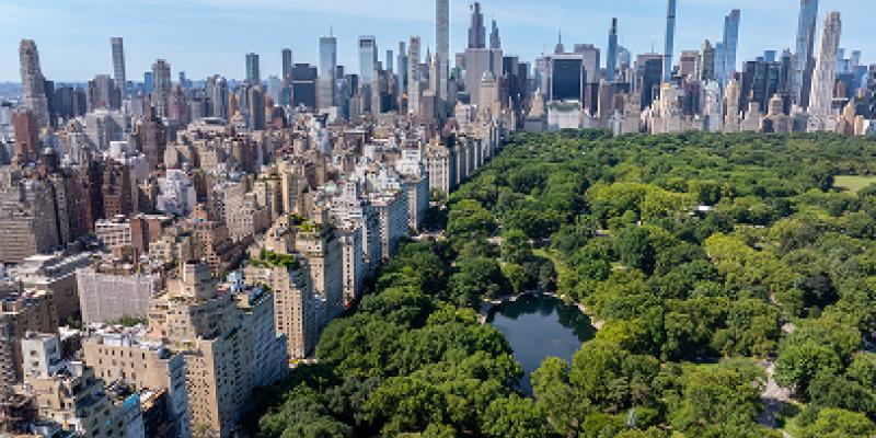 aerial view of central park