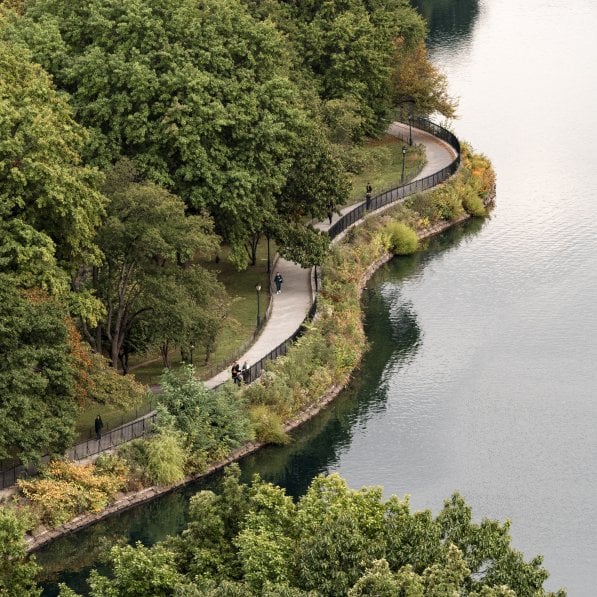 256W81 - Central Park