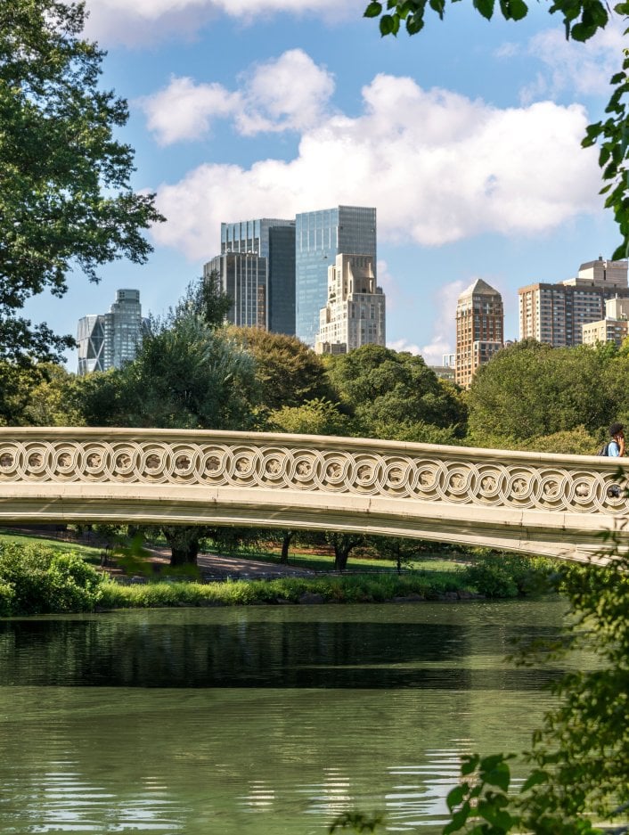 A bridge extends over water in Central Park with trees on either side